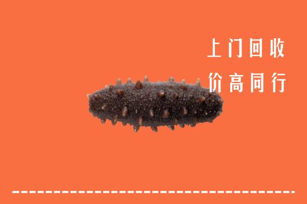 高价求购：酒泉回收海参