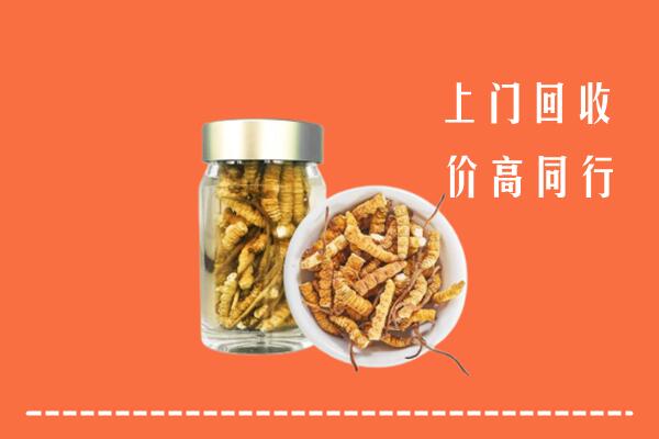 酒泉回收冬虫夏草