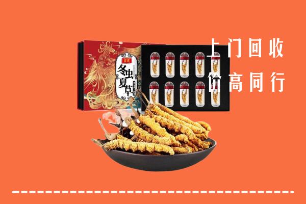 酒泉回收虫草